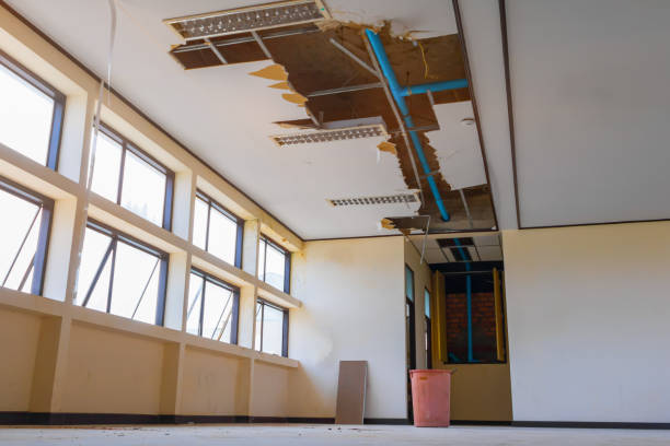 Best Water damage cleanup near me  in Four Corners, MT