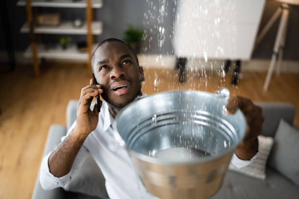 Best Basement water damage restoration  in Four Corners, MT