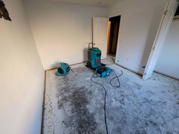 Best Residential water damage restoration  in Four Corners, MT