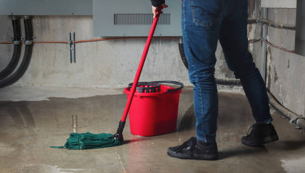 Best Water damage restoration near me  in Four Corners, MT