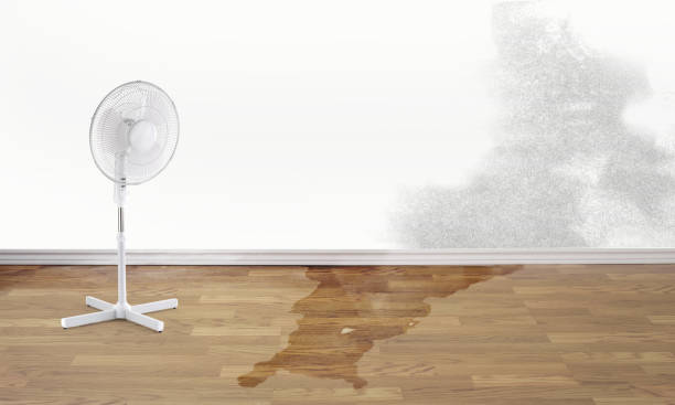 Best 24-hour water damage restoration  in Four Corners, MT