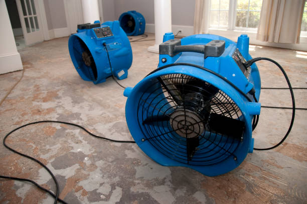 Best Commercial water damage restoration  in Four Corners, MT