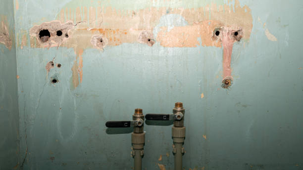 Local water damage restoration in MT