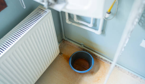 Best Ceiling water damage repair  in Four Corners, MT