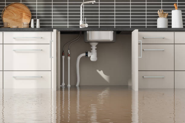 Best Carpet water damage restoration  in Four Corners, MT