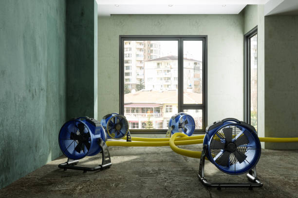 24/7 water damage repair in MT